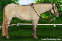 Horse Color:Liver Red Dun Snowflake Varnish