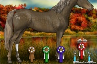 Horse Color:Chocolate Palomino 