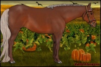 Horse Color:Chocolate Silver Bay Sabino 