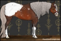 Horse Color:Silver Brown Sabino Snowcap 