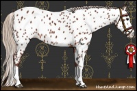 Horse Color:Chocolate Silver Brown Sabino Splash Near Leopard 