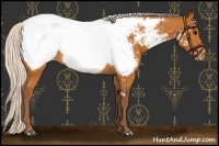 Horse Color:Chocolate Silver Bay Snowcap 
