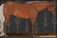 Horse Color:Silver Bay 