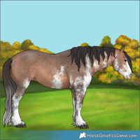 Horse Color:White Spotted Brown Mushroom Rabicano 