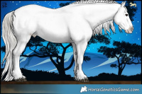 Horse Color:White Spotted Chocolate Silver Buckskin Onyx Mushroom Sabino Splash Appaloosa Rabicano 