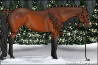 Horse Color:Brown Splash Frame Rabicano