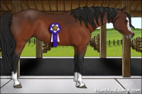 Horse Color:Gray Brown Splash Frame Rabicano