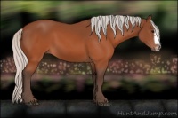 Horse Color:Silver Brown Splash Frame Rabicano