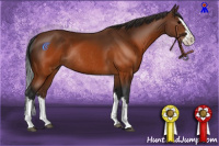Horse Color:Brown Splash Rabicano 