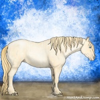 Horse Color:Buckskin Roan Pearl  and Buckskin Roan Pearl 