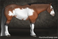 Horse Color:Brown Splash Frame Rabicano 