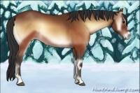 Horse Color:Brown Onyx Mushroom Splash Frame Rabicano 
