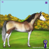 Horse Color:Brown Onyx Splash Rabicano Brindle 