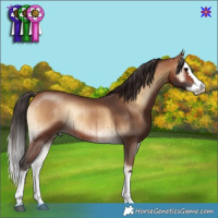 Horse Color:Brown Onyx Splash Rabicano Brindle 