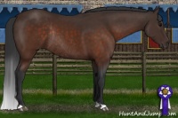 Horse Color:Brown Rabicano 