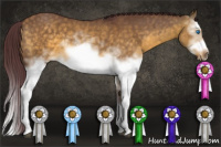 Horse Color:White Spotted Chocolate Buckskin Dun Sabino Splash Frame Rabicano 