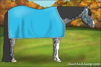 Horse Color:Blue Ice Roan  and Blue Ice Roan 
