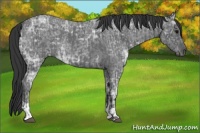 Horse Color:Blue Ice Roan  and Blue Ice Roan 