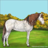 Horse Color:Blue Onyx Ice Roan Mushroom and Chocolate Sable Champagne Ice Roan Pearl Onyx