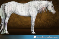 Horse Color:Blue Ice Roan  and Painted Nacre Silver Classic Champagne Ice Roan Pearl Tobiano 
