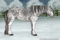 Horse Color:White Spotted Silver Black Ice Sabino  and White Spotted Black Ice Sabino Rabicano 