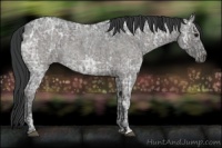 Horse Color:Blue Ice Roan  and Blue Ice Roan 