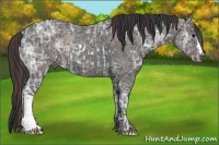 Horse Color:White Spotted Chocolate Blue Onyx Ice Brindle  and Blue Ice Roan 