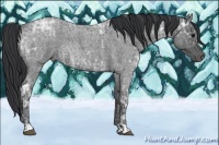 Horse Color:Blue Ice Roan  and Blue Ice Roan 