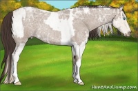 Horse Color:Smoky Creme Ice Roan  and Classic Champagne Ice Roan 