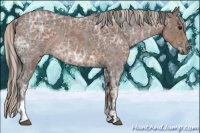 Horse Color:Blue Ice Roan and Silver Blue Ice Roan