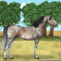 Horse Color:White Spotted Brown Ice  and White Spotted Brown Ice Dun 