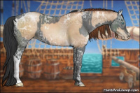 Horse Color:Gray White Spotted Sable Champagne Ice Pearl Splash Tobiano  and Blue Ice Roan 