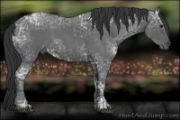 Horse Color:Blue Ice Roan  and Blue Ice Roan 