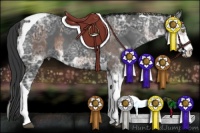 Horse Color:Liver Chestnut Ice Mushroom Sabino  and Black Ice Tobiano 