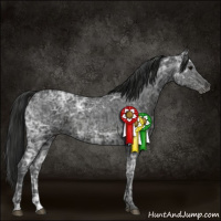 Horse Color:Blue Ice Roan and Gray Blue Ice Roan