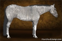 Horse Color:Blue Onyx Ice Roan  and Grullo Ice Roan 