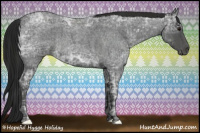 Horse Color:Blue Ice Roan and Gray Blue Ice Roan