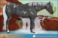 Horse Color:Nacre White Spotted Midnight Chocolate Silver Grullo Chinchilla Ice  and Nacre White Spotted Midnight Chocolate Silver Classic Champagne Chinchilla Ice Dun 