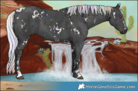 Horse Color:Nacre White Spotted Midnight Chocolate Silver Grullo Chinchilla Ice  and Nacre White Spotted Midnight Chocolate Silver Classic Champagne Chinchilla Ice Dun 