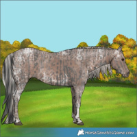 Horse Color:Black Ice Tobiano  and Silver Black Ice 