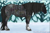 Horse Color:Midnight Blue Ice Roan  and Gray Midnight Blue Ice Roan 