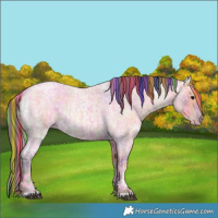 Horse Color:Painted Watercolor Blue Ice Roan  and Painted Nacre Classic Champagne Ice Roan 