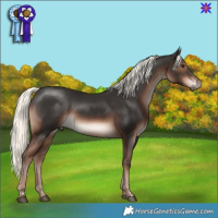 Horse Color:Liver Chestnut Mushroom 