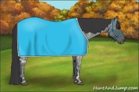 Horse Color:Blue Ice Roan  and Blue Ice Roan 