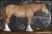 Horse Color:Bay Sabino  and Chestnut Sabino 