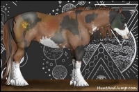 Horse Color:Liver Chestnut Sabino  and Chestnut Sabino Splash 