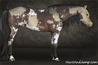 Horse Color:Buckskin Dun Sabino  and Brown Sabino 