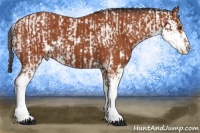 Horse Color:Bay Sabino  and Bay Sabino 