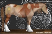Horse Color:Bay Sabino  and Liver Chestnut Pearl Sabino 