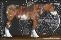 Horse Color:Bay Sabino Frame and Brown Sabino Frame